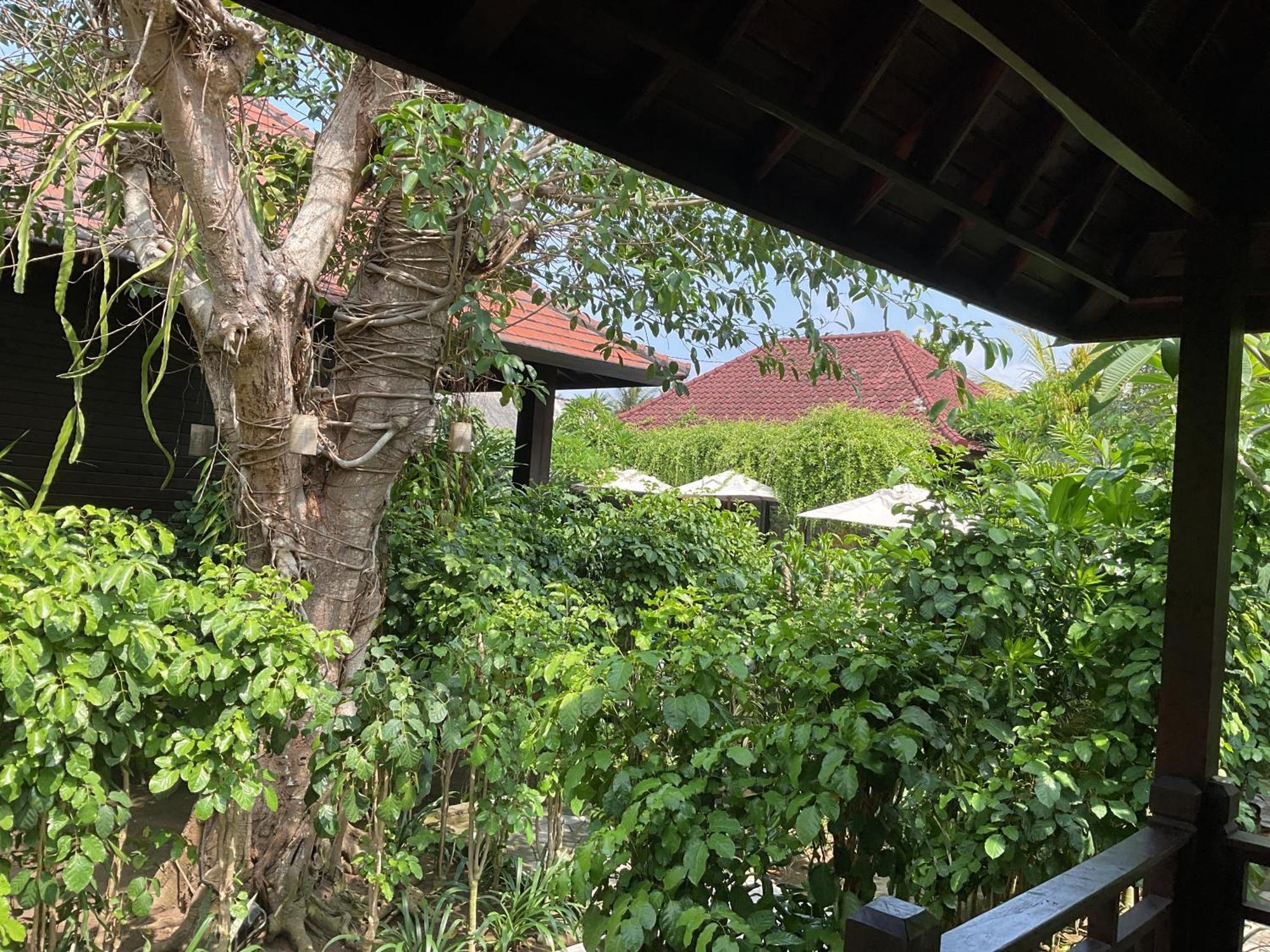 Bunutbali Villas88 Lembongan Exteriör bild